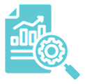 Operational Audit & Analysis